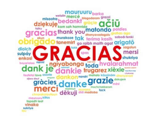 1 año de blog